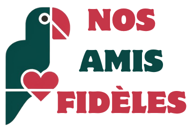 nos-amis-fideles.com